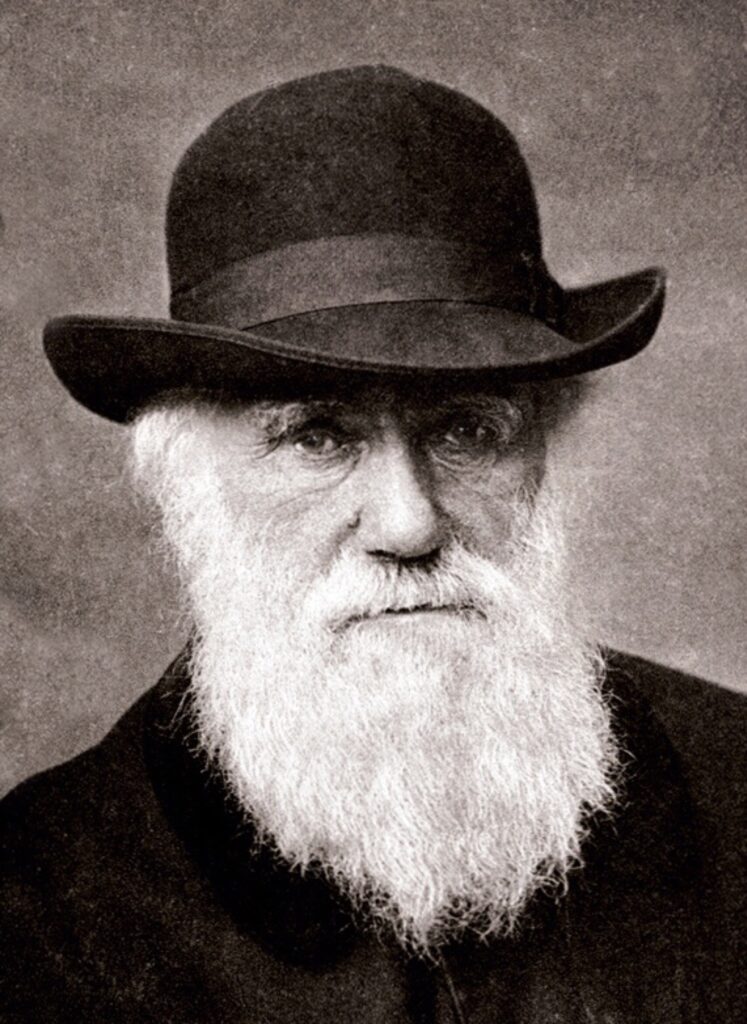 Charles Darwin angol természettudóst az Akadémia külső tagjává választják