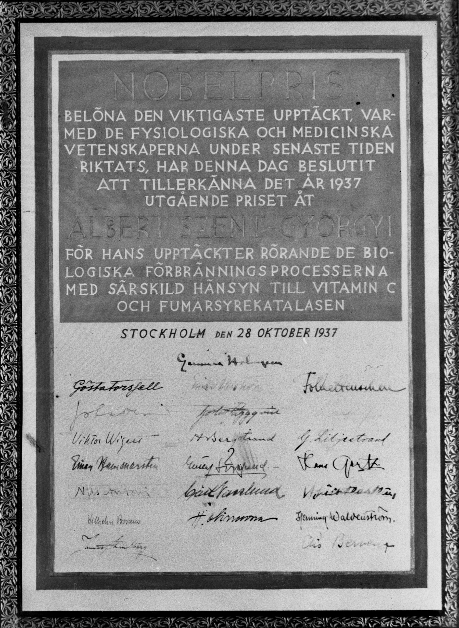 Szent-Györgyi Albert, a C-vitamin felfedezője orvosi-élettani Nobel-díjat kap